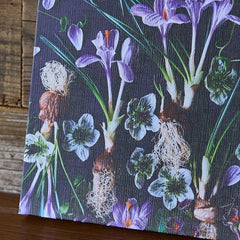 Collection image for: Botanic Art Panel