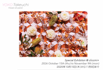 【 Cliccmi + 神楽坂｜竹内陽子 フラワーアートパネル展 10/15–11/9 】