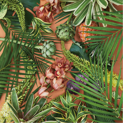 Orchid Grove