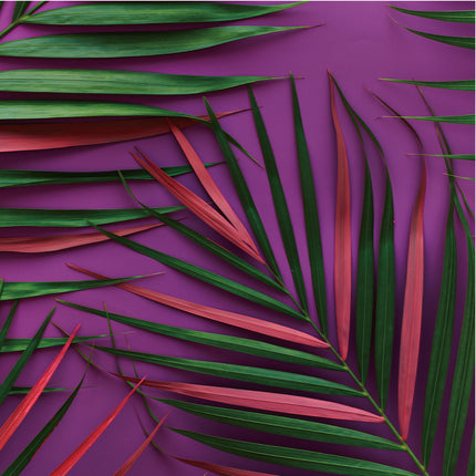Palm Pink