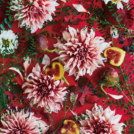 Figs &amp; Dhalia