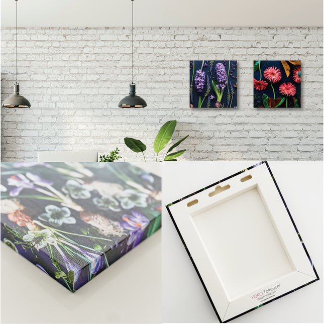 Botanic Hyacinth ヒヤシンス