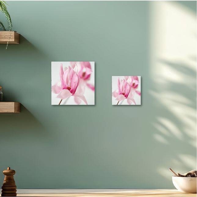 Magnolia マグノリア