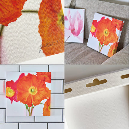 Orange Poppy