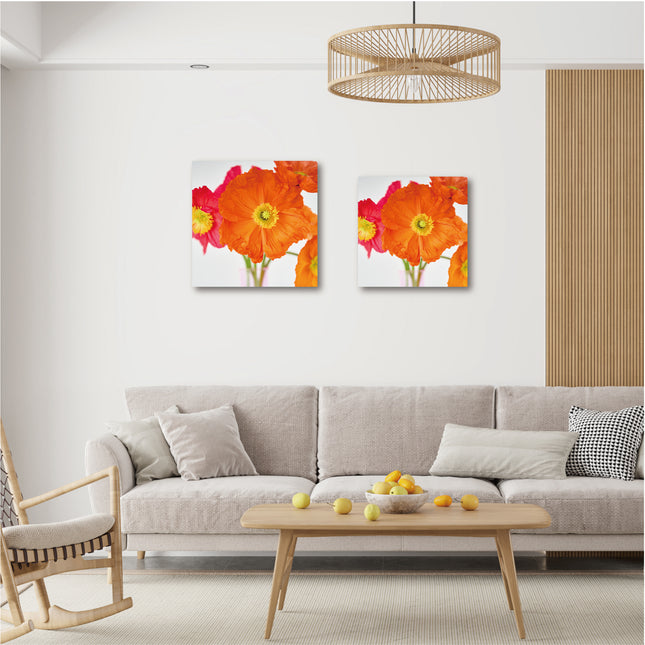 Orange Poppy オレンジポピー