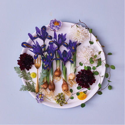 Dish Flowers Grace