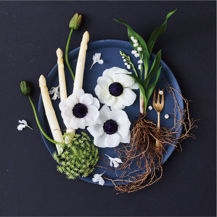 Dish Flowers Asparagus　アスパラ